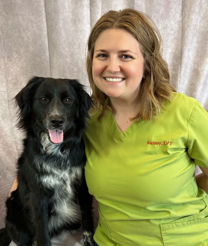 Veterinarians in Wyoming Wyoming MI Veterinarians